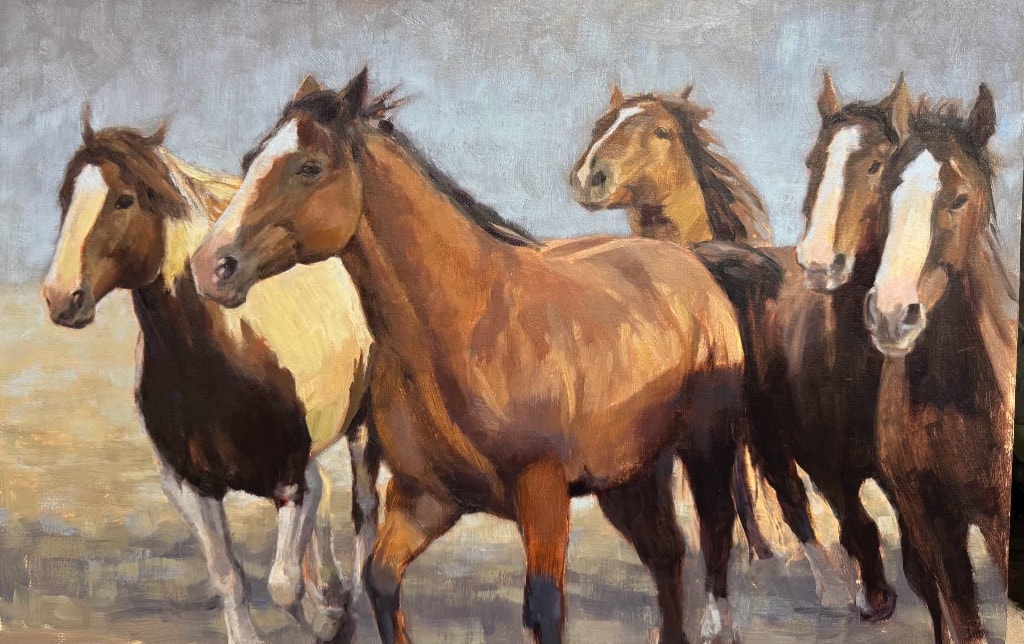 Montana Rodeo Horses